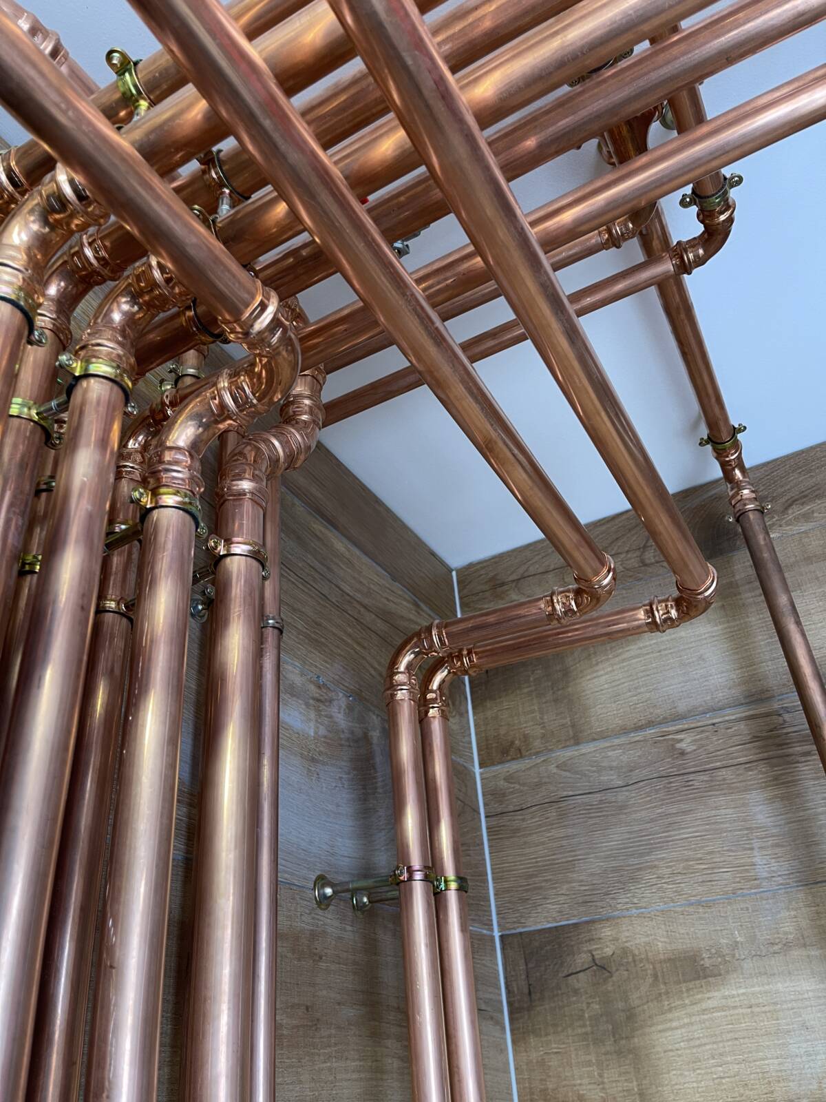 IMG_1188 | Vonthron Professionnels Écurie du Dachsbuhl / Élevage du Hans – Colmar Illzach 1
