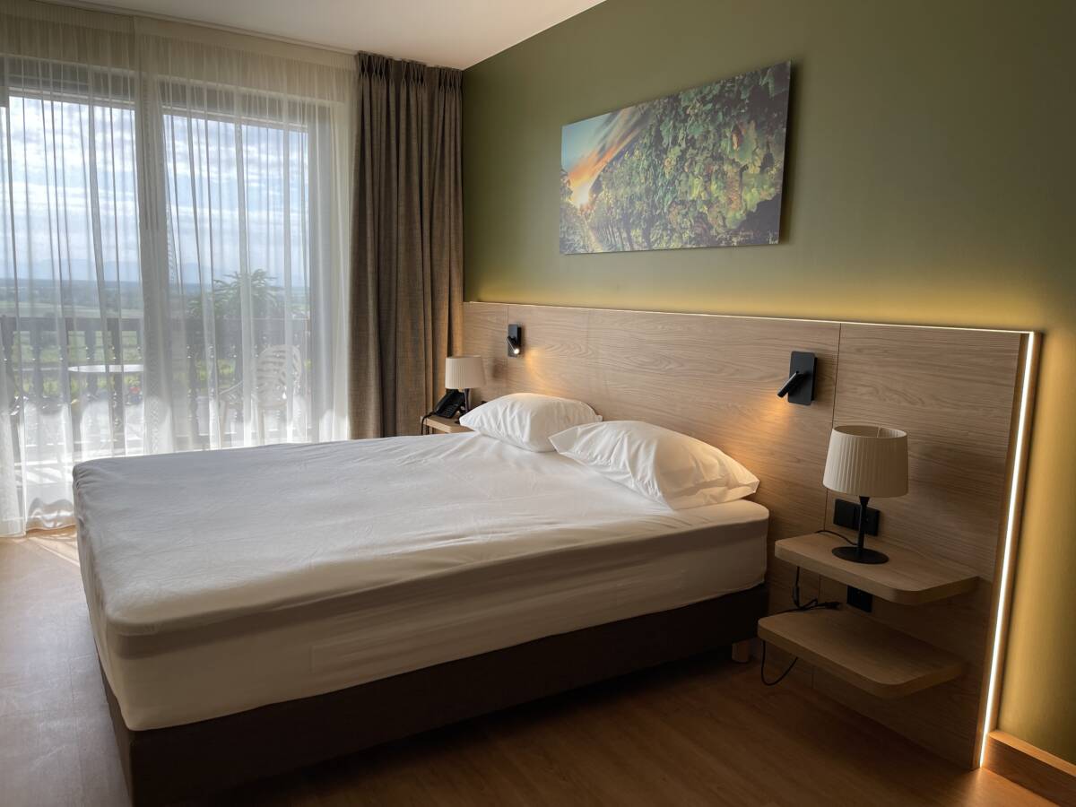 IMG_3648 | Vonthron Professionnels Hôtel Terra Vinum – Gueberschwihr Rixheim 20